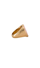 8 Other Reasons Gold Heart Ring With Resin Fuck Off in Metallic Gold