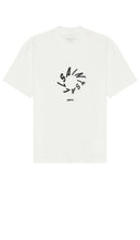 ALLSAINTS Halo Tee in White - T-shirt ALLSAINTS Halo en blanc - ALLSAINTS 白色 Halo T 恤 - ALLSAINTS Halo T-Shirt in Weiß - ALLSAINTS 헤일로 티셔츠 화이트 색상 - Maglietta ALLSAINTS Halo in bianco