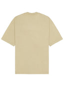 ALLSAINTS Species Tee in Sage