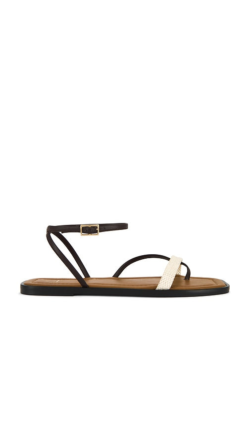 ATP Atelier Miane Sandals in Brown | Walnut & Ecru Flat Sandals for Women