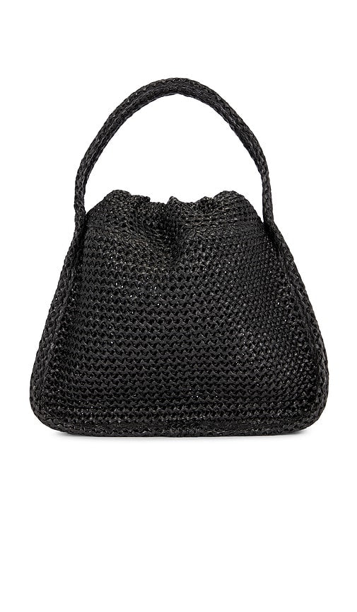 Alexander Wang Ryan Small Bag in Black