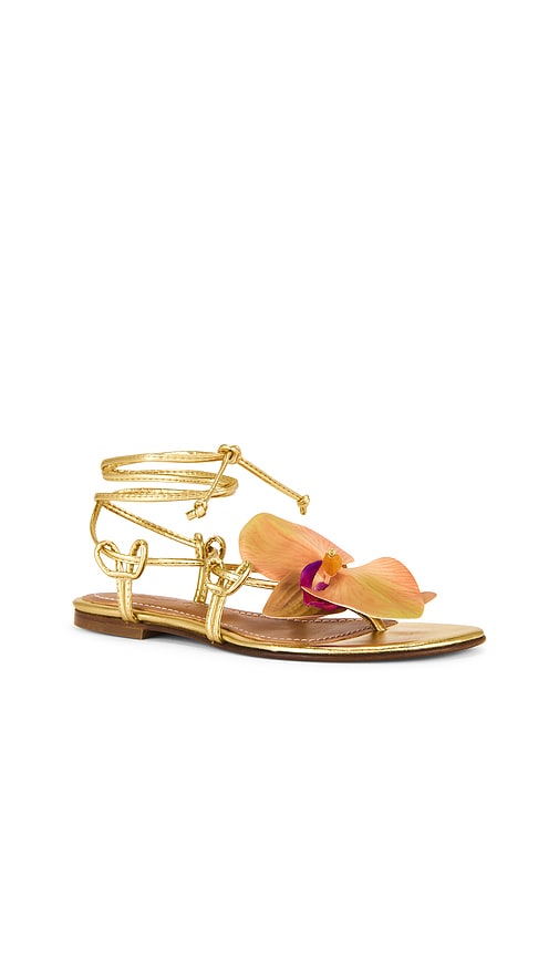 Alameda Turquesa Victoria Sandal in Metallic Gold, yellow