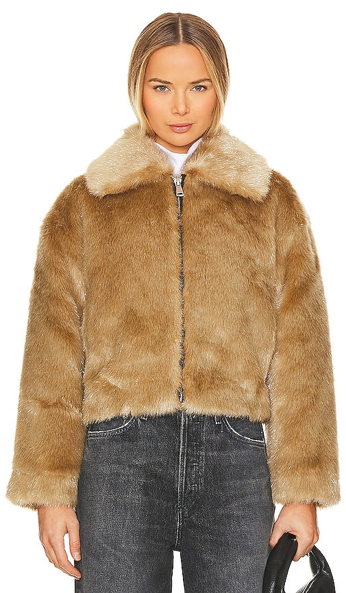 Apparis Aubin 2 in Brown
