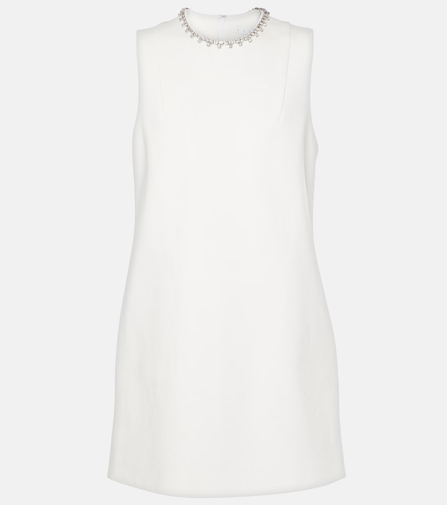Area Embellished minidress. 区域装饰迷你连衣裙