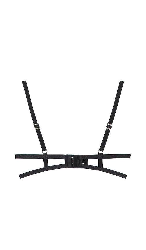 BLUEBELLA Antoinette Open Wired Bra in Black