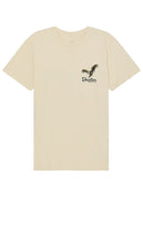 Brixton Glacier Short Sleeve Standard Tee in White