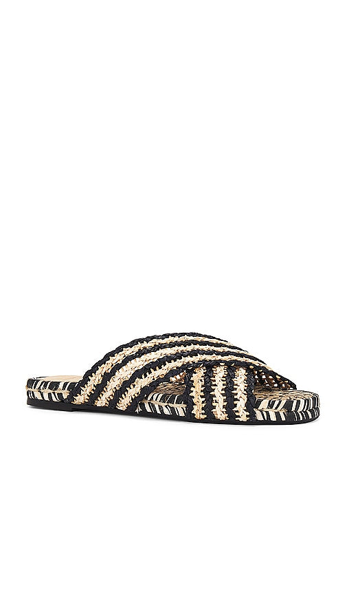 Castaner Pat Sandal in Black