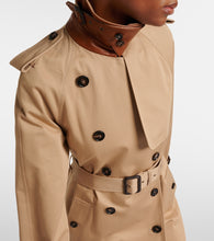 Chloe Caped cotton gabardine trench coat