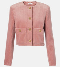 Chloe Cotton velvet corduroy jacket