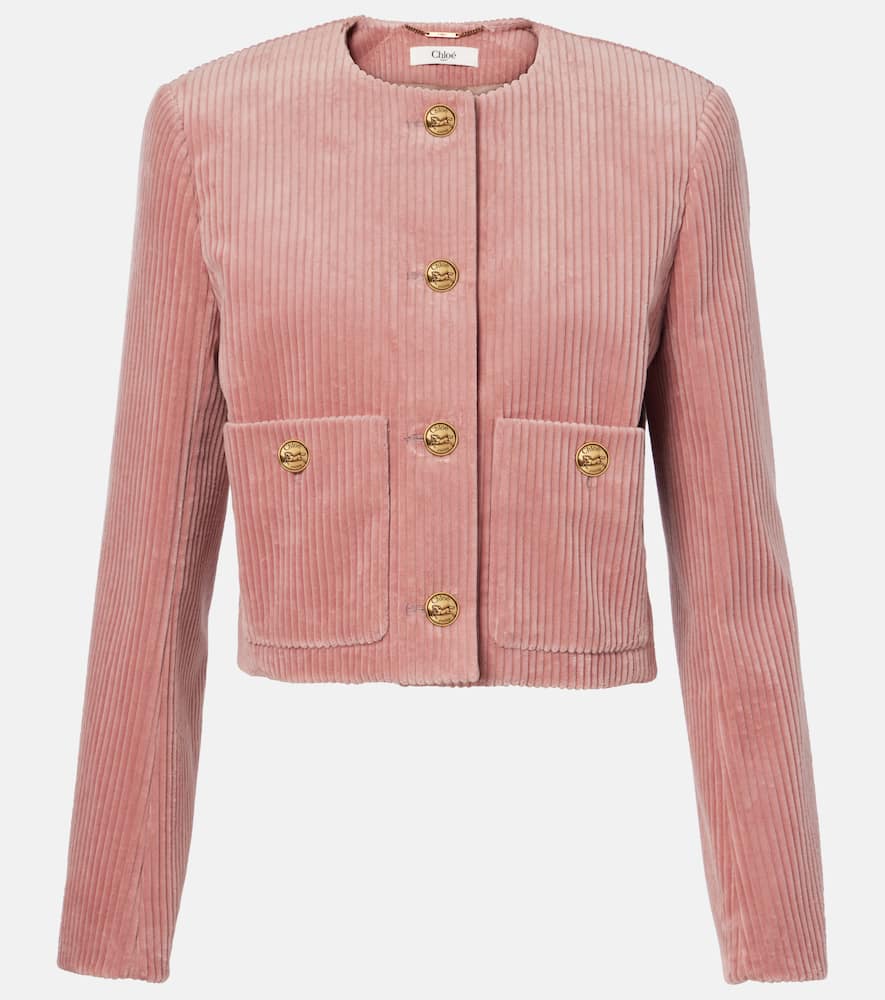 Chloe Cotton velvet corduroy jacket