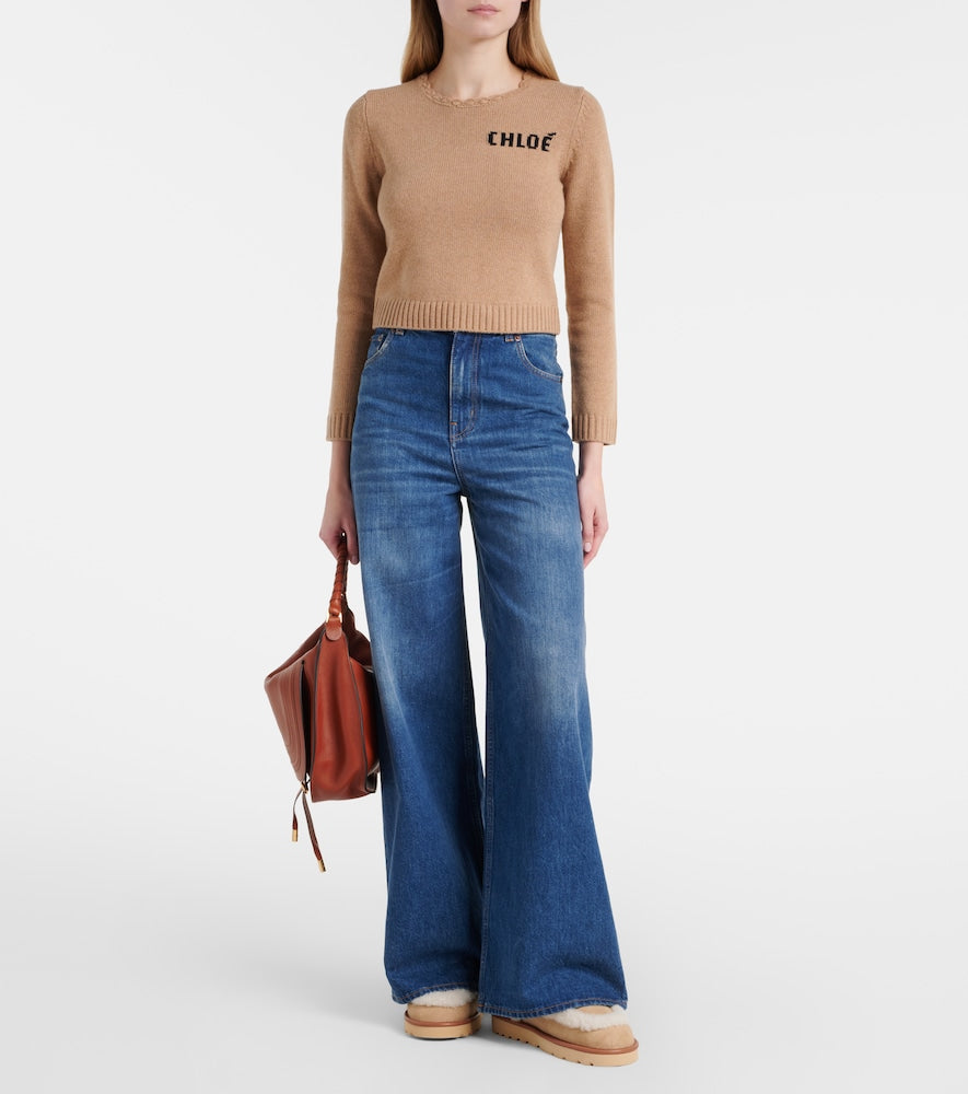 Chloe Dolcie shearling-trimmed ankle boots