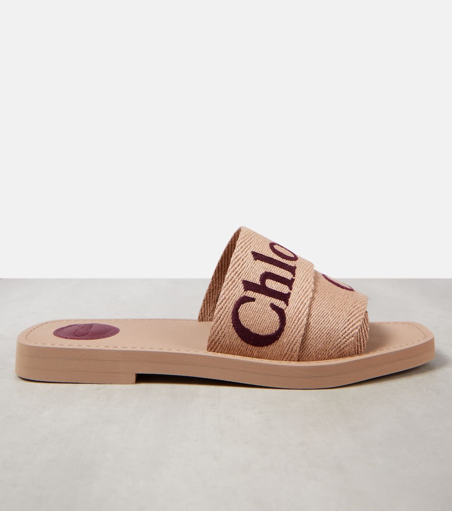 Chloe Woody slides