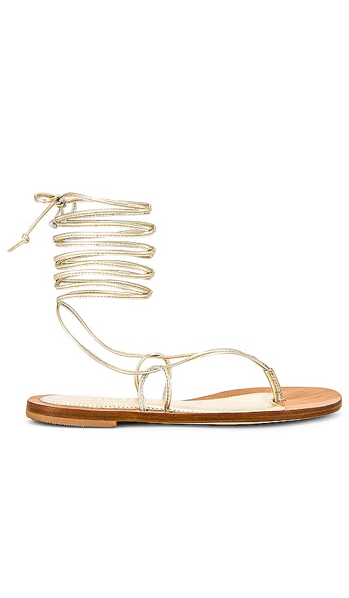 CoRNETTI Lola Lace Up Sandal in Metallic Gold - CoRNETTI Sandale à lacets Lola en or métallisé - CoRNETTI Lola 金属金色系带凉鞋 - CoRNETTI Lola Schnürsandale in Metallic-Gold - CoRNETTI Lola 레이스업 샌들 메탈릭 골드 소재 - Sandalo stringato CoRNETTI Lola in oro metallizzato