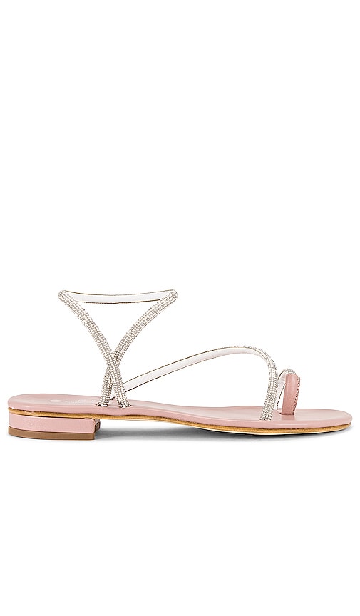 CoRNETTI Romelide Sandal in Blush - Sandale CoRNETTI Romelide en Blush - CoRNETTI Romelide 腮红凉鞋 - CoRNETTI Romelide Sandale in Blush - CoRNETTI Romelide 샌들 - CoRNETTI Sandalo Romelide color cipria