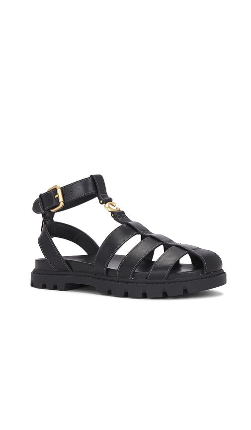 Coach Sculpted Fisherman Sandal in Black