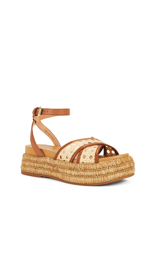 Dolce Vita Wriley Sandal in Brown
