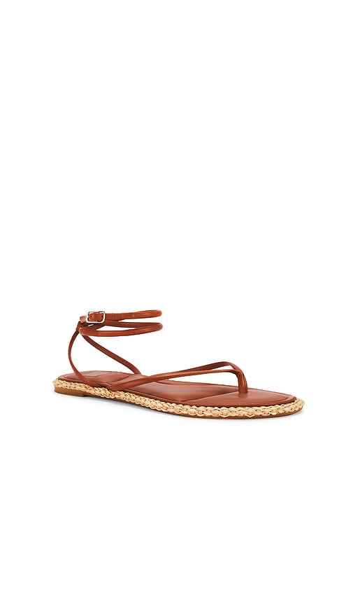Dolce Vita Cove Sandal in Brown