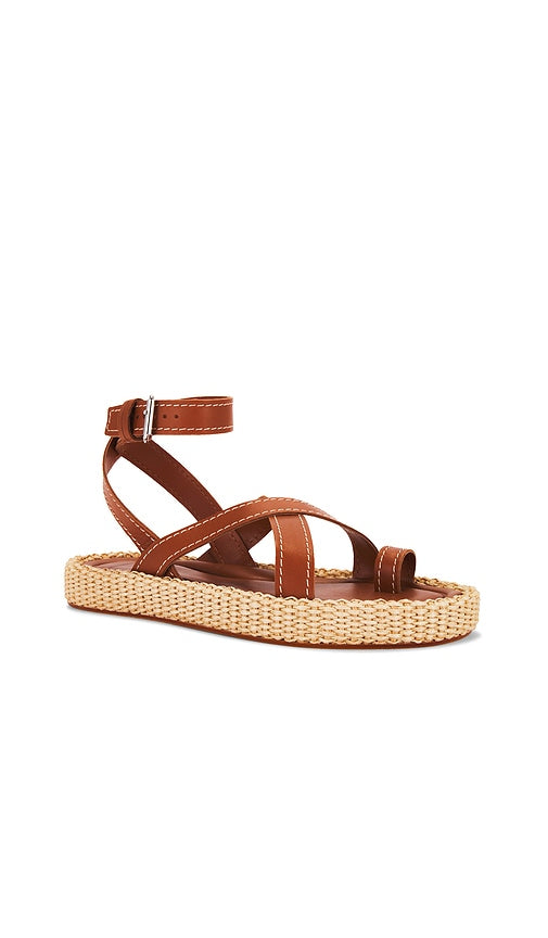 Dolce Vita Roxie Sandal in Brown