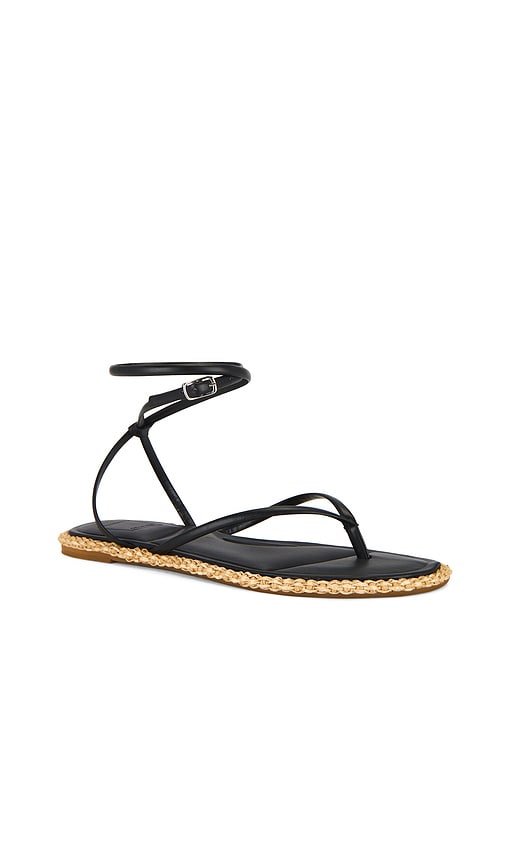 Dolce Vita Cove Sandal in Black