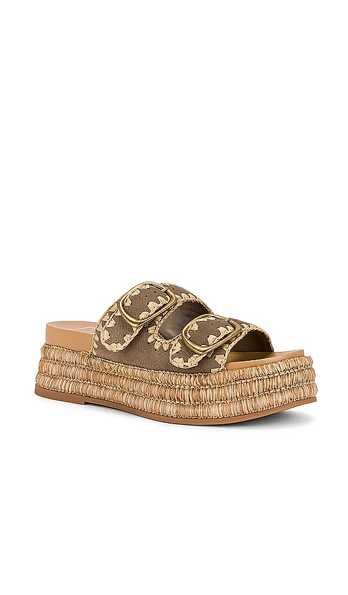 Dolce Vita Wanika Sandal in Brown