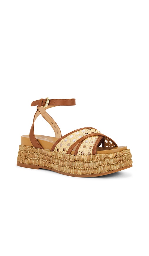 Dolce Vita Wriley Sandal in Neutral