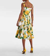 Dolce&Gabbana Floral cotton midi dress