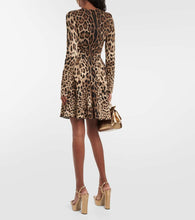 Dolce&Gabbana Leopard-print jersey minidress