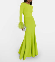 Elie Saab Feather-trimmed jersey gown