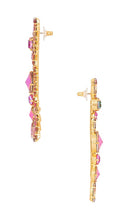 Elizabeth Cole Livy Earrings in Multi