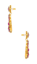 Elizabeth Cole Lylia Earrings in Pink