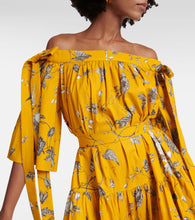 Erdem Floral cotton maxi dress