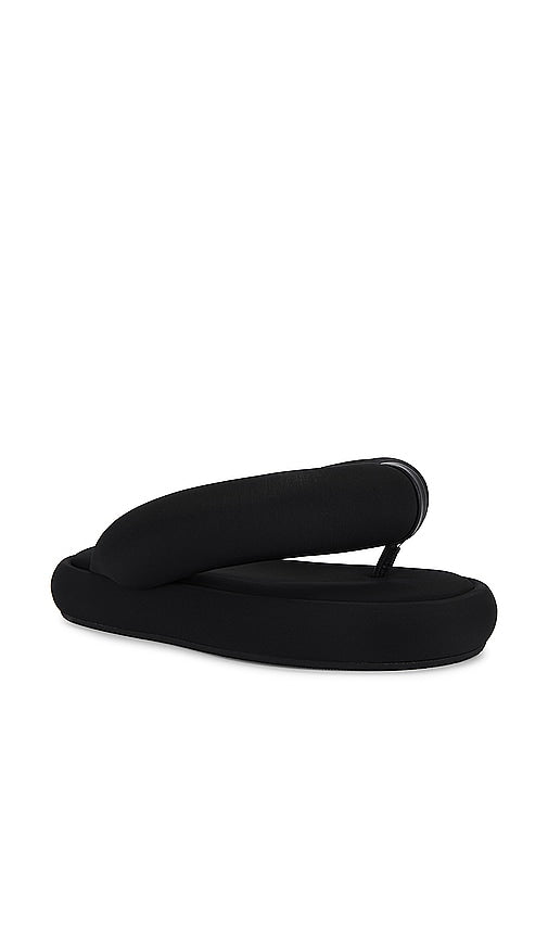 FIORUCCI Black Fluff Flops in Black