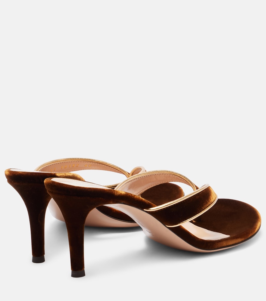 Gianvito Rossi Calypso 70 velvet thong sandals