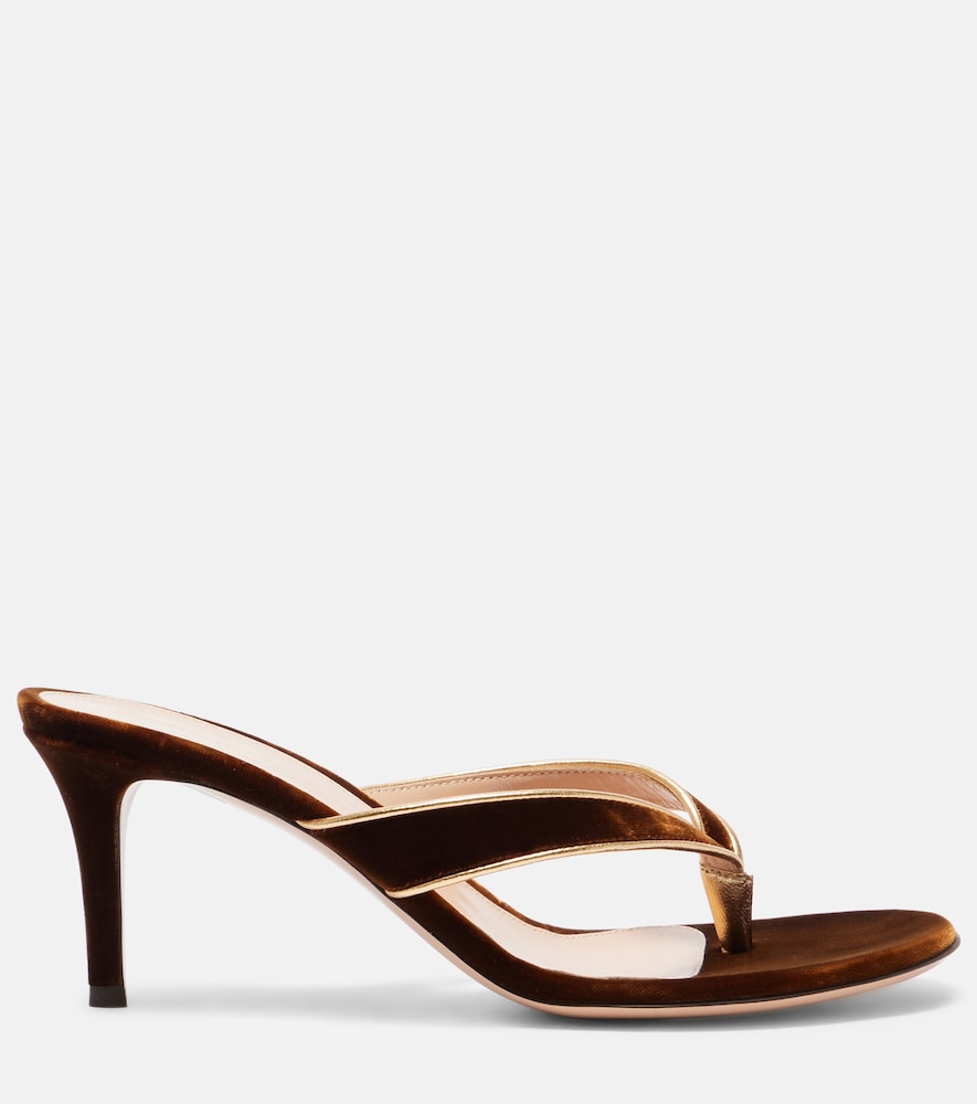 Gianvito Rossi Calypso 70 velvet thong sandals