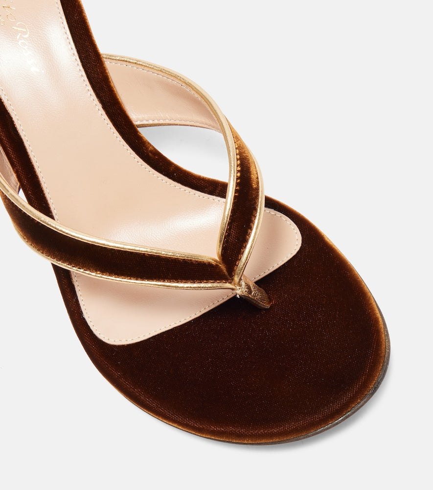 Gianvito Rossi Calypso 70 velvet thong sandals