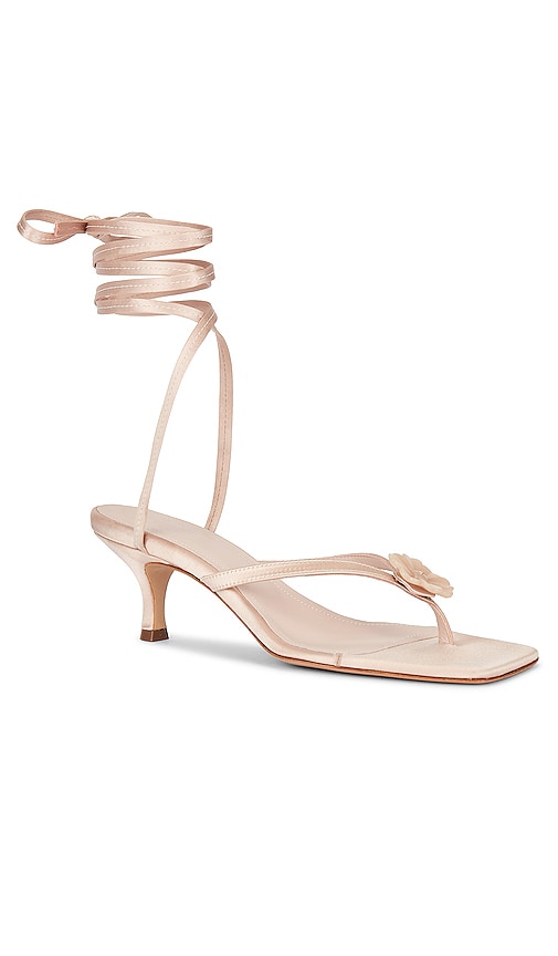 Helsa Kitten Lace Up in Nude