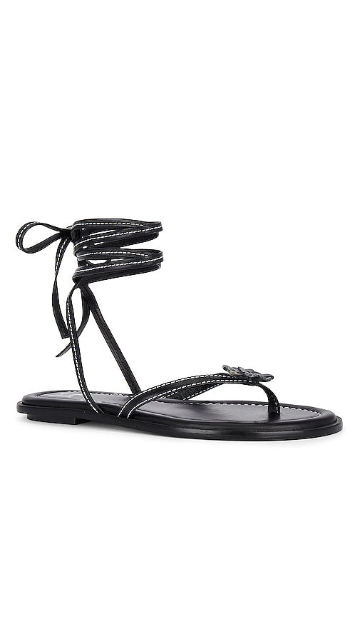 Helsa Lace Up Sandal in Black