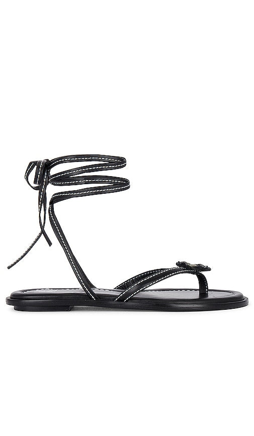 Helsa Lace Up Sandal in Black - Sandale à lacets Helsa en noir - Helsa 黑色系带凉鞋 - Helsa Schnürsandale in Schwarz - Helsa 레이스업 샌들블랙 컬러 - Sandalo stringato Helsa in nero