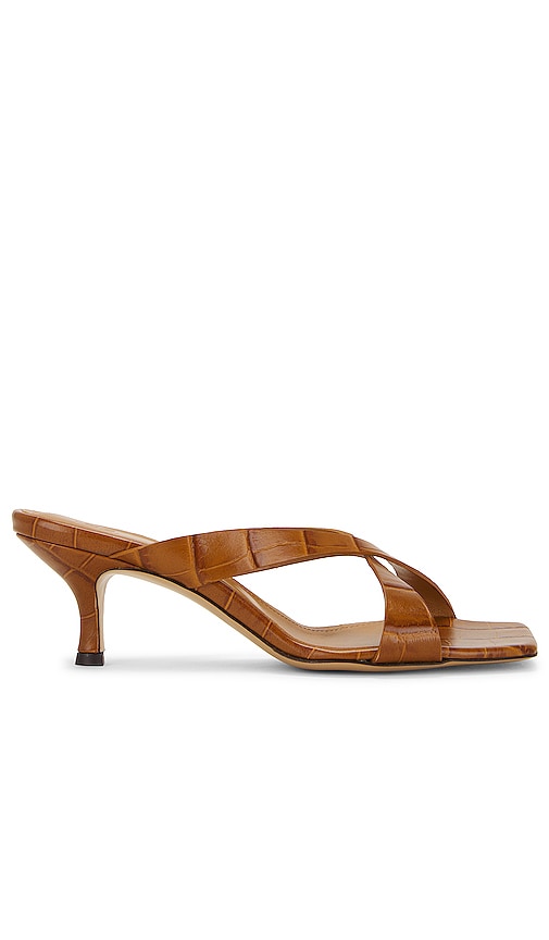 Helsa X Band Kitten Heel in Tan - Helsa X Band Kitten Heel - Fauve - Helsa X Band 黄褐色小猫跟鞋 - Helsa X Band Kitten Heel in Hellbraun - Helsa X 밴드 키튼 힐 - Helsa X Band Kitten Heel in marrone chiaro