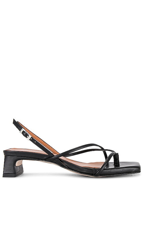 INTENTIONALLY BLANK Fifi Sandal in Black - INTENTIONNELLEMENT BLANK Sandale Fifi en Noir - 特意空白 Fifi 黑色凉鞋 - ABSICHTLICH BLANK Fifi Sandale in Schwarz - INTENTIONALLY BLANK Fifi 샌들 블랙 색상 - Sandalo Fifi INTENTIONALLY BLANK in nero