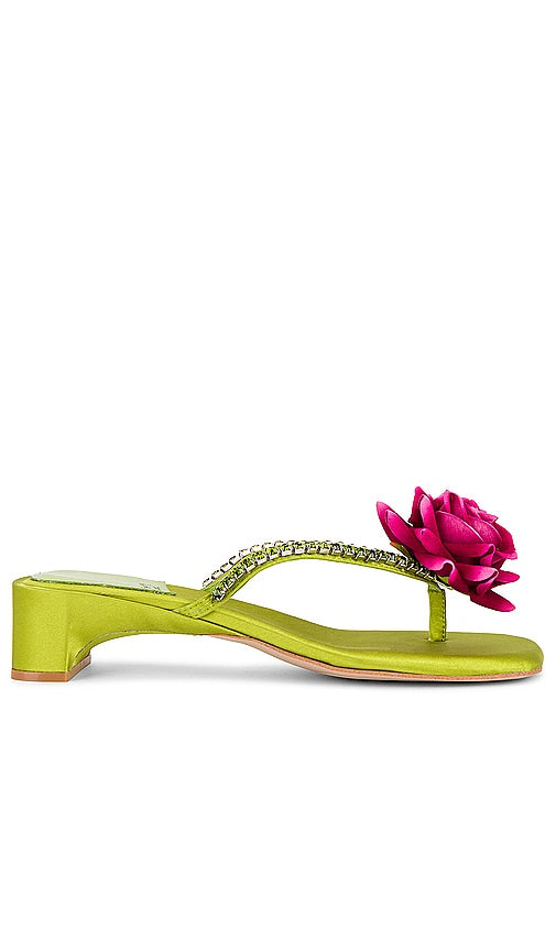 Jeffrey Campbell Primrose Sandal in Green - Sandale Jeffrey Campbell Primrose en vert - Jeffrey Campbell 绿色樱草色凉鞋 - Jeffrey Campbell Primrose Sandale in Grün - Jeffrey Campbell 프림로즈 샌들 그린 색상 - Sandalo Primrose Jeffrey Campbell in verde
