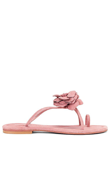 Jeffrey Campbell Tropico Sandal in Blush - Jeffrey Campbell Tropico Sandale en Blush - Jeffrey Campbell Tropico 腮红凉鞋 - Jeffrey Campbell Tropico Sandale in Blush - Jeffrey Campbell 트로피코 샌들 - Sandalo Tropico di Jeffrey Campbell color cipria