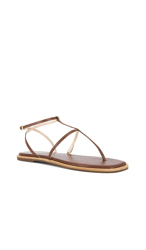 Kaanas Aisha Strappy Gladiator Sandal in Tan