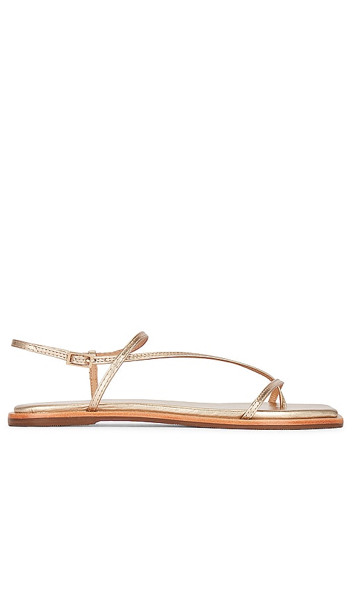 Kaanas Alayta Sandal in Metallic Gold - Sandale Kaanas Alayta en or métallisé - Kaanas Alayta 金属金色凉鞋 - Kaanas Alayta Sandale in Metallic-Gold - Kaanas Alayta 샌들 메탈릭 골드 소재 - Sandalo Kaanas Alayta in oro metallizzato