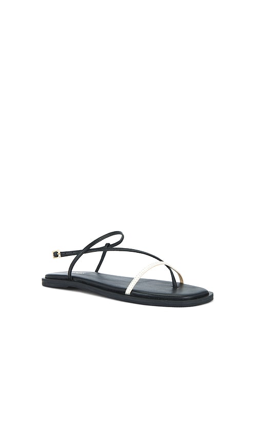 Kaanas Alayta Square Toe Sandal in Black