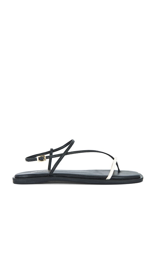 Kaanas Alayta Square Toe Sandal in Black | Black & White Strappy Sandals for Women