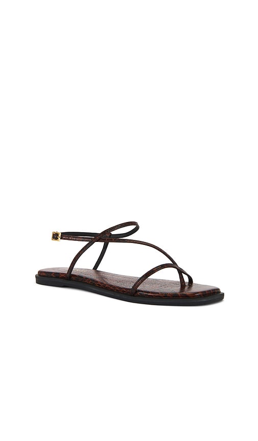 Kaanas Alayta Square Toe Sandal in Brown