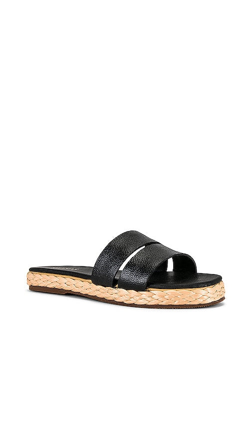 Kaanas Dantita Sandal in Black