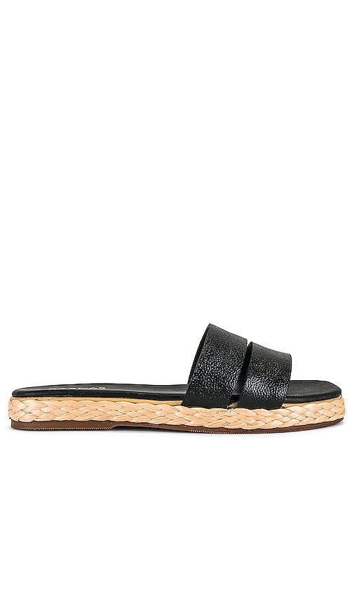 Kaanas Dantita Sandal in Black - Sandale Kaanas Dantita en noir - Kaanas Dantita 黑色凉鞋 - Kaanas Dantita Sandale in Schwarz - Kaanas Dantita 샌들블랙 색상 - Sandalo Kaanas Dantita in nero