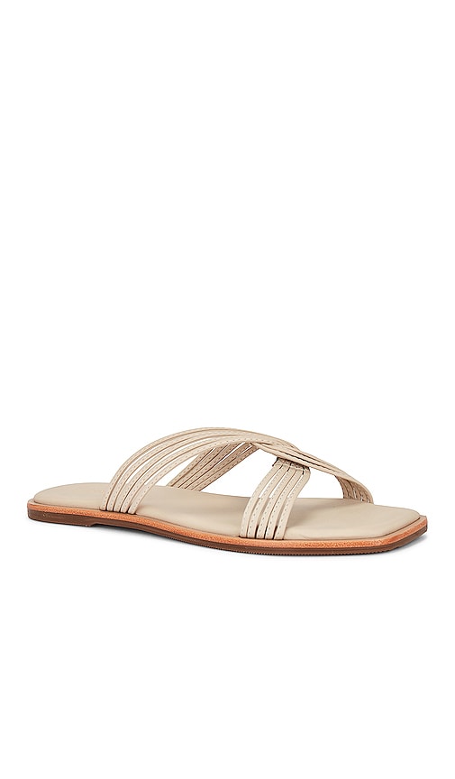 Kaanas Nasu Sandal in Beige